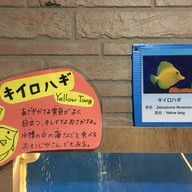 わくわく海中水族館シードーナツ