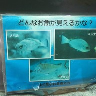 わくわく海中水族館シードーナツ