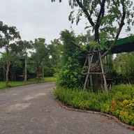 กาแฟบ้านทุ่ง