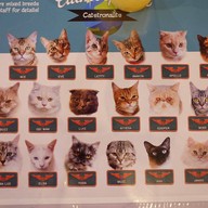 Catmosphere Cat Café  เชียงใหม่