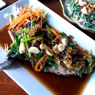 เมนูของร้าน ร้านอาหารต้นข้าวซีฟู๊ด