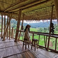 Giant Bamboo Hut
