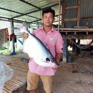 โคตรลาว ห้วยขวาง
