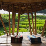 Giant Bamboo Hut
