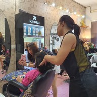 The Idol ท่าอิฐ