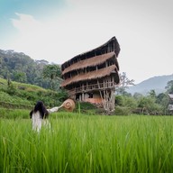 Giant Bamboo Hut