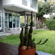 บรรยากาศ ภารดีเบคเฮ้าส์
