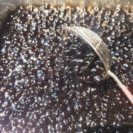 เมนูของร้าน ชบา ชานมไข่มุก สันปูเลย