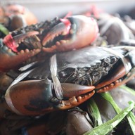 N.K.ปูทะเล เอกชัยบางบอน เอกชัยบางบอน