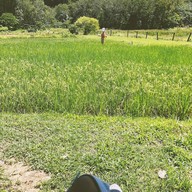 ครัวริมนาสาคู