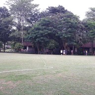 ผึ้งหลวงแคมป์กราวด์