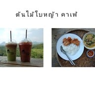 เมนูของร้าน ต้นไม้ใบหญ้า