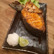 Shakariki 432 101 the Third Place