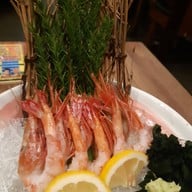 Shakariki 432 101 the Third Place