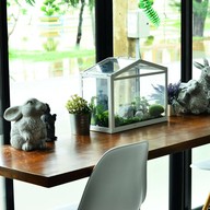 บรรยากาศ Siri Cafe