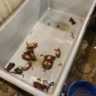 สิมิลัน บุฟเฟ่ต์ทะเลเผา พุทธมณฑลสาย 2