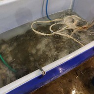 สิมิลัน บุฟเฟ่ต์ทะเลเผา พุทธมณฑลสาย 2