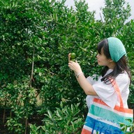 บรรยากาศ สวนส้มบางมด ผู้ใหญ่ชาติ