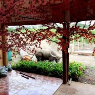 บรรยากาศ ตลาดน้ำเขาใหญ่