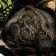 Shabukong & Grill Kong