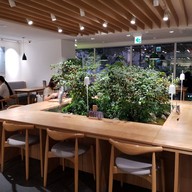 Innisfree green Cafe Myeongdong