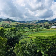 คอฟฟี่วิว