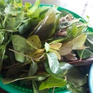 เมนูของร้าน แม่หมีขนมจีนข้าวแกง