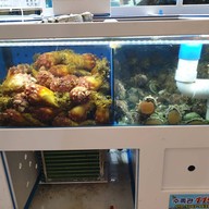 บรรยากาศ Jeju Downtown