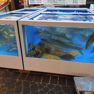 บรรยากาศ Jeju Downtown