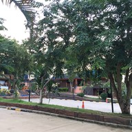 เฟื่องฟ้าแสงมณีรีสอร์ท