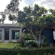 เพลินปาย