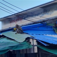 เรือนอาหารทะเลวังมุข