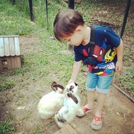 บรรยากาศ The Rabbit Union