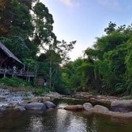 บ้านป่าริมธาร โฮมสเตย์