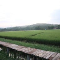 บ้านผ่อดอย กอยดาว