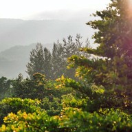 Panalee home and camping