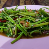 กระเพรา (สำหรับคนชอบเผ็ด)