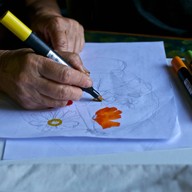 ดอกป่าหญ้าปาย