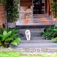 โรงแรมเยลโล่พิลโล