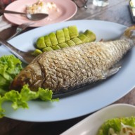 น่านน้ำป่าสักปลาเผา