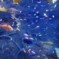 Aquaria Phuket