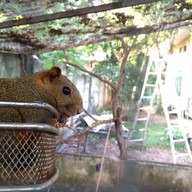 บรรยากาศ เดอวา Deva Bamboo Café