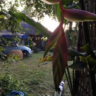 หน้าร้าน เดอวา Deva Bamboo Café