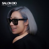 Salon dio