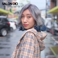 Salon dio
