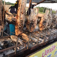 เมี่ยงปลาเผา โพธิ์แก้ว