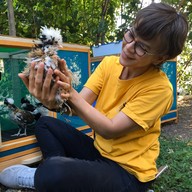 เดอวา Deva Bamboo Café