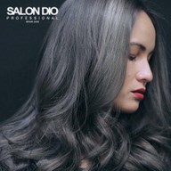 Salon dio