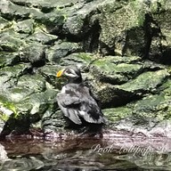 Oceanário de Lisboa