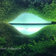 Oceanário de Lisboa